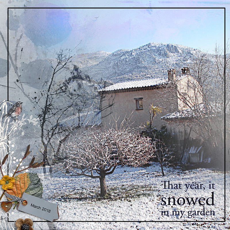 This year, it snowed in my garden