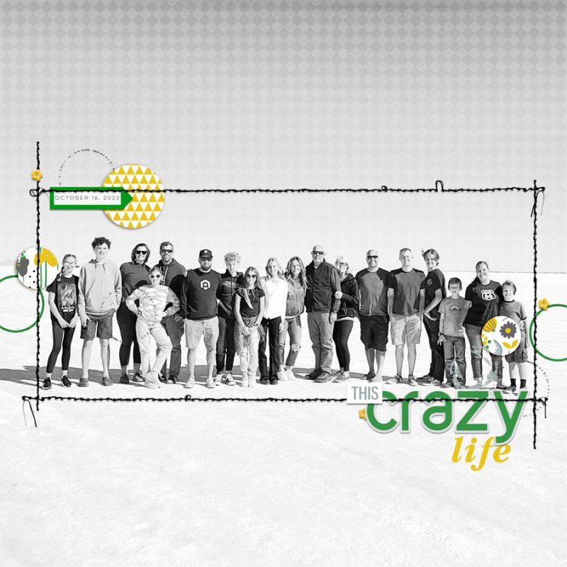 ThisCrazyLife(SaltFlats)
