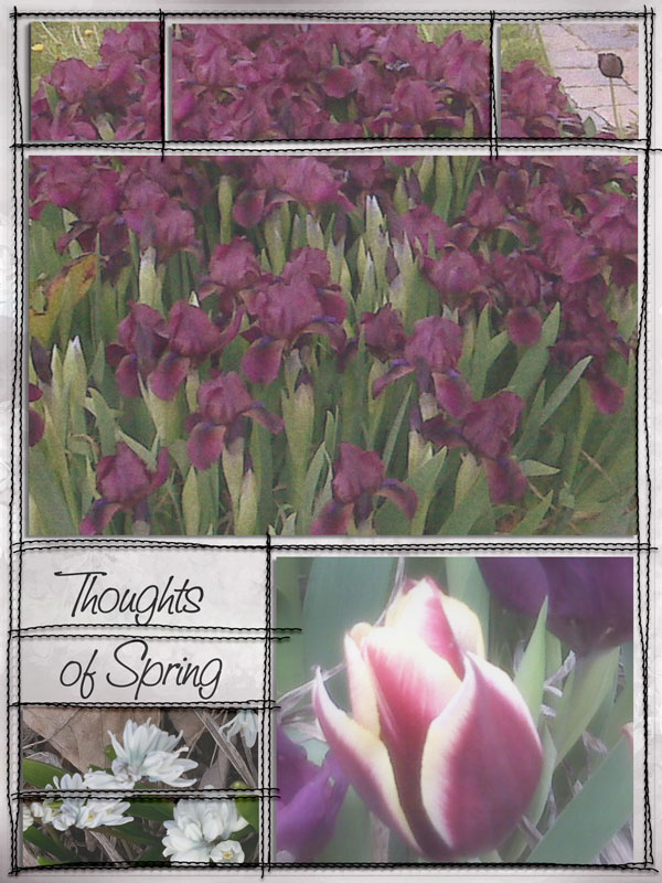 Thoughts of Spring