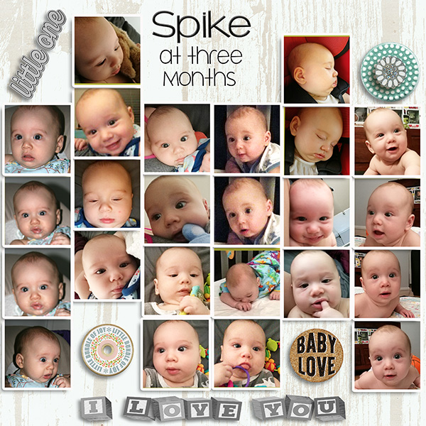 Three Months