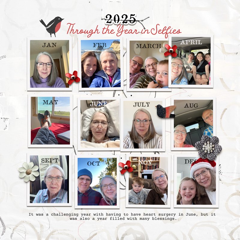 Through the Year in Selfies (take 2)
