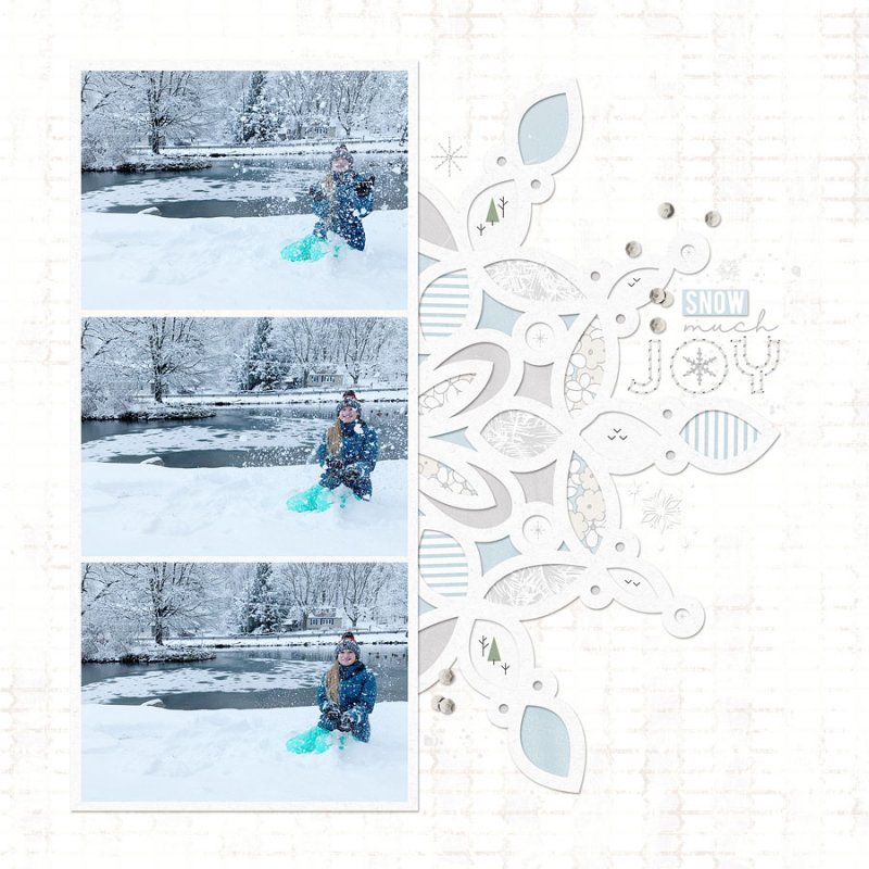 Throwing Snow- January 2020