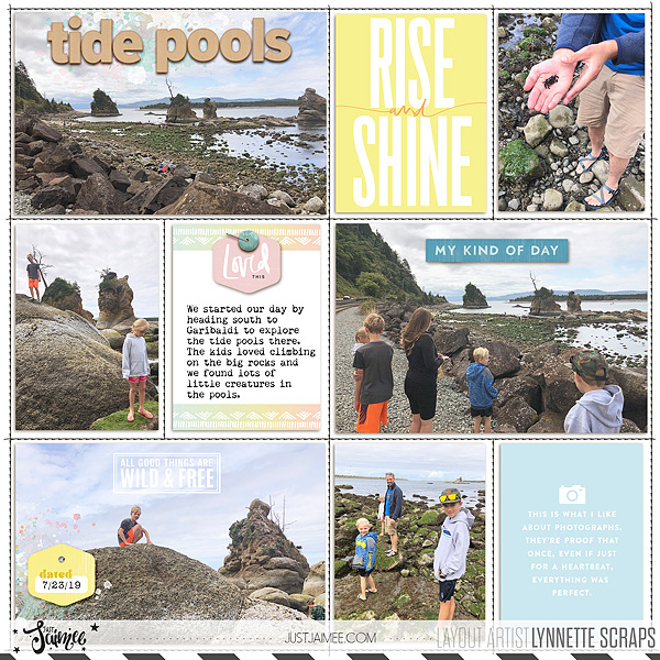 tide pools