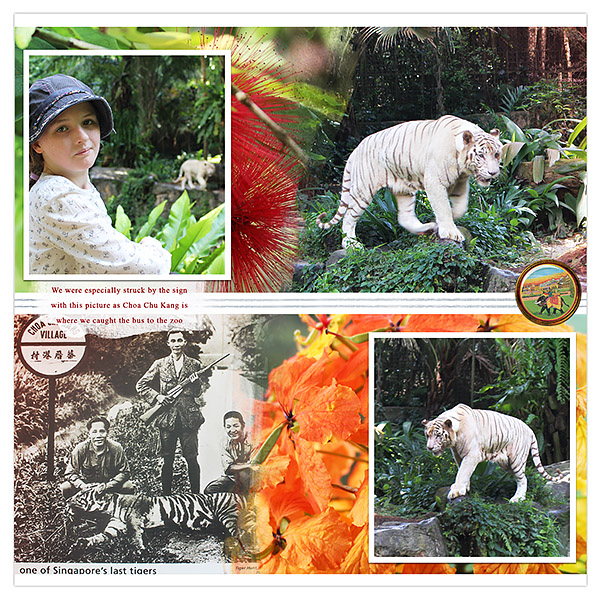 Tigers in Choa Chu Kang