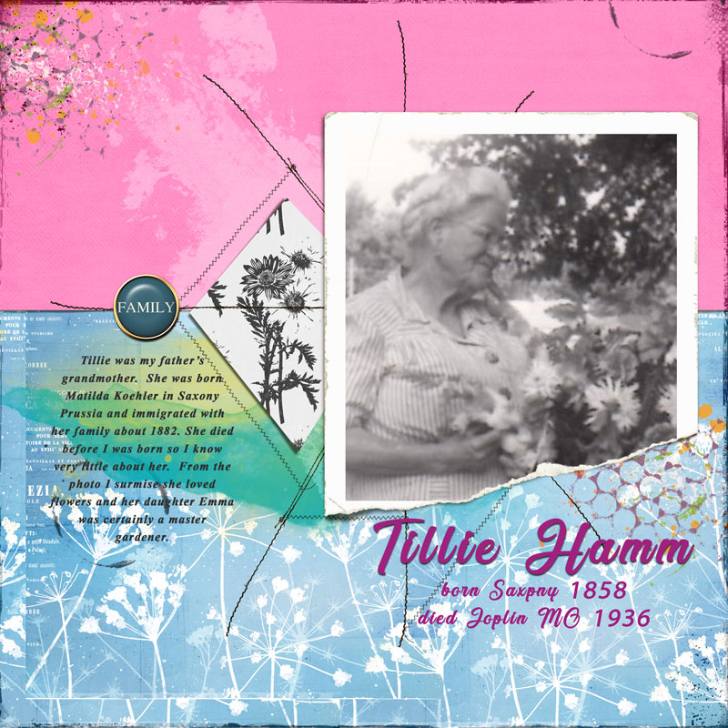 Tillie-hamm