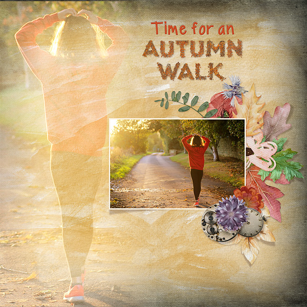 time for an autumn walk