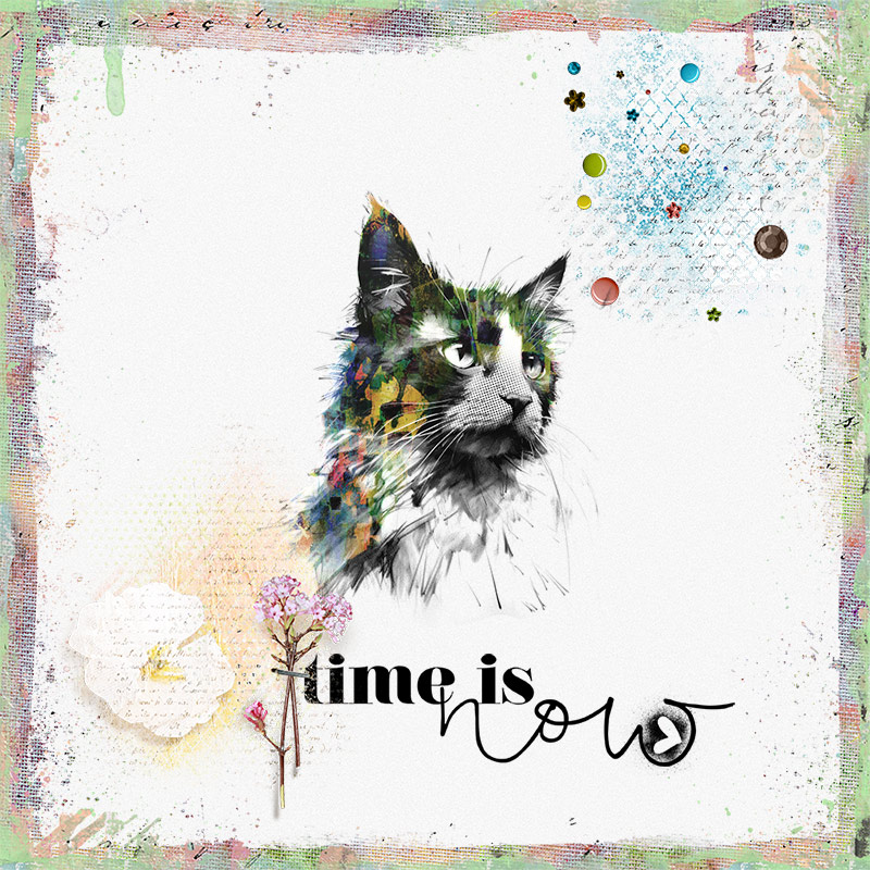 time is now