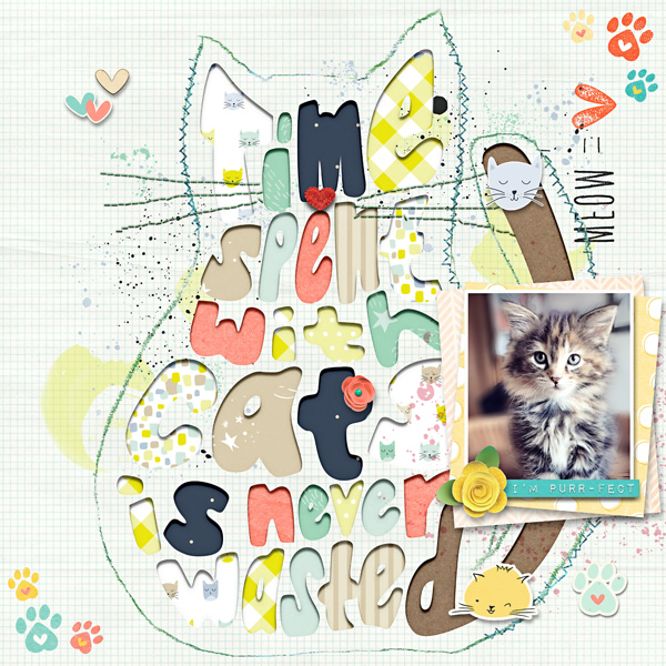 Time Spent with Cats
