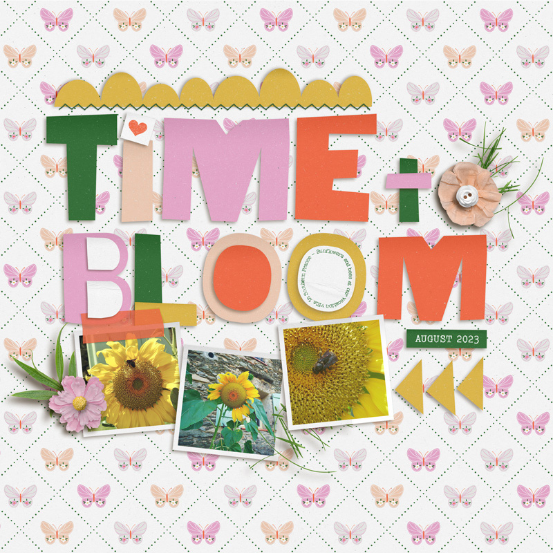 Time To Bloom