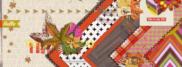 Timeline Cover update