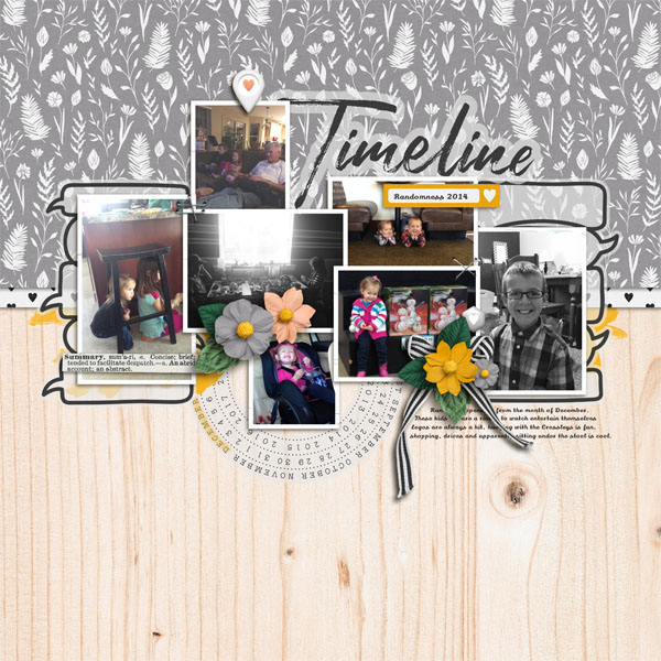 Timeline