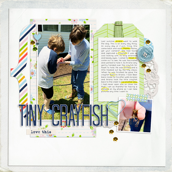 Tiny Crayfish