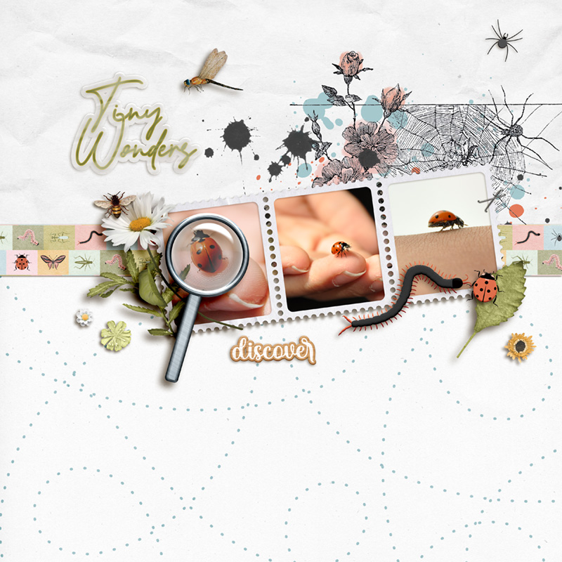 Tiny Wonders