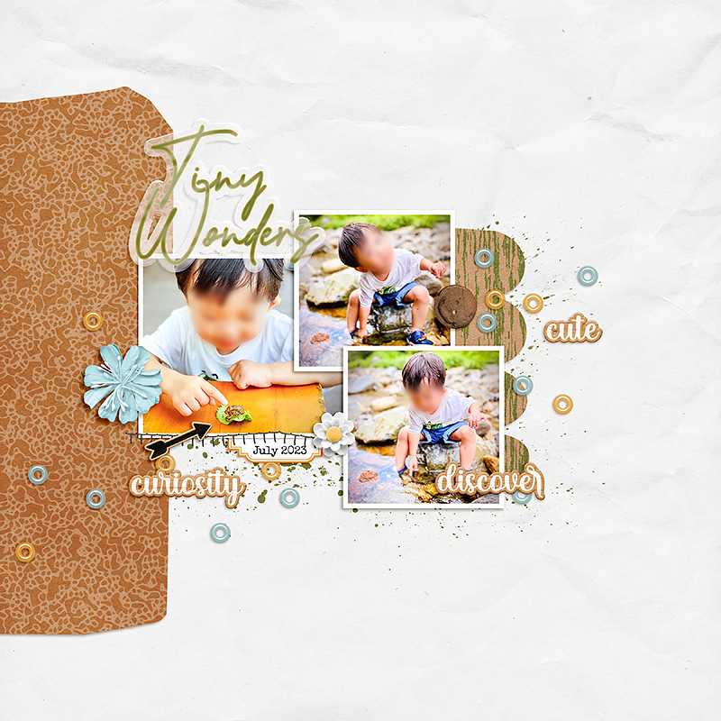 Tiny Wonders