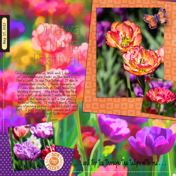 Tip Toe Through the Tulips
