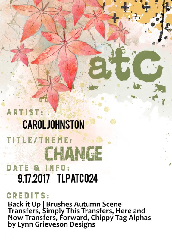TLP ATC 024 Change 9-2017_Iowan_back