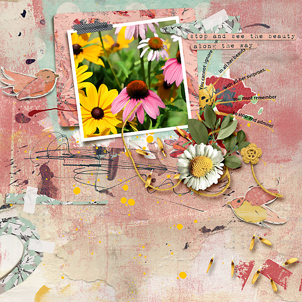 TLP-Love-our-Designers-Feb-27-Rachel-Jefferies