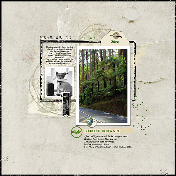 TLP-May-2020-Inspiration-Challenge