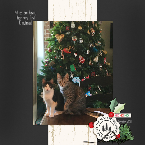 TLP-RandomChall_Dec2020