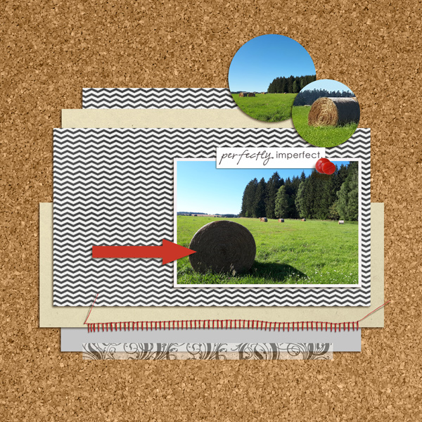 Tlp_chall_21_06_des_sahlins