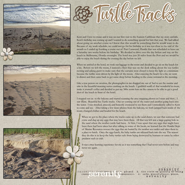 TLP_Day-11_Turtle-Tracks