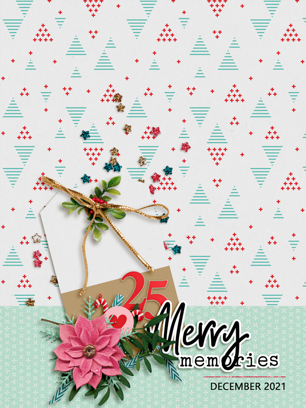 TLP_DYD_Dec21_cover