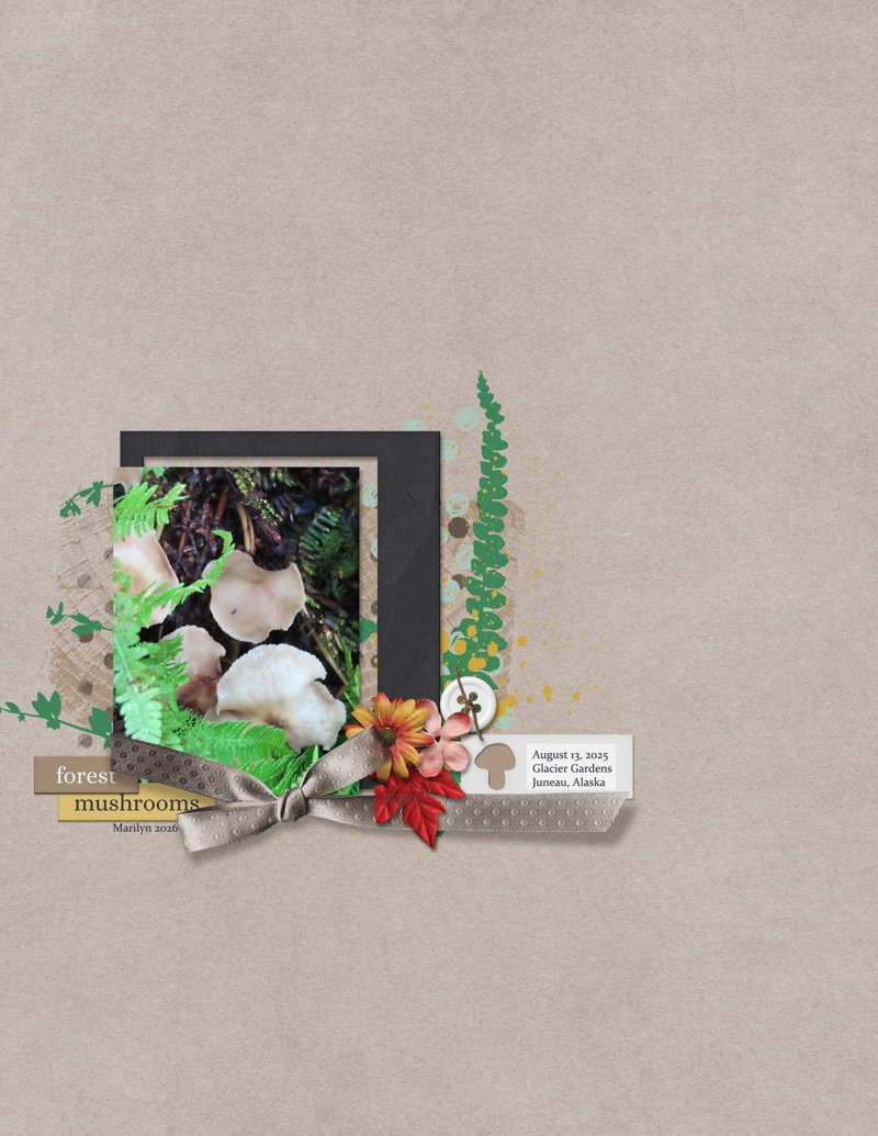 TLP_LOD_2026_0218_Slow-Scrap_ninigoesdigi_Marilyn_web.jpg