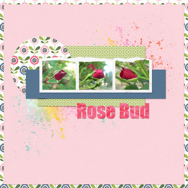 TLP_Scraplift_Rose-Bud