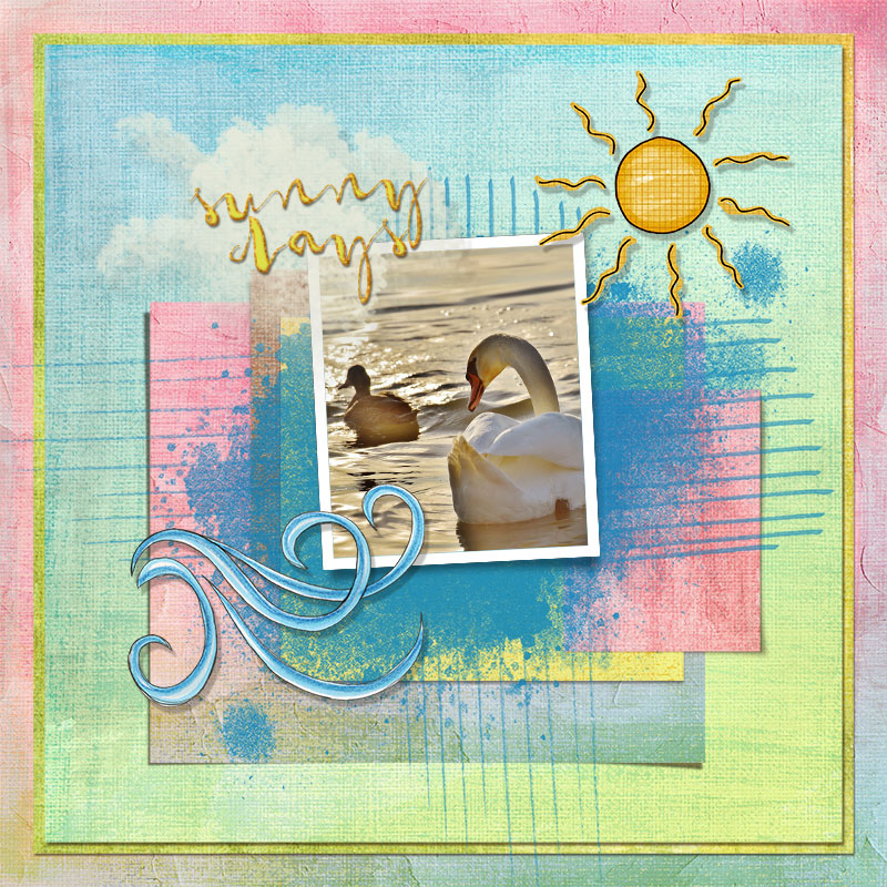 TLP_Swan_gallery