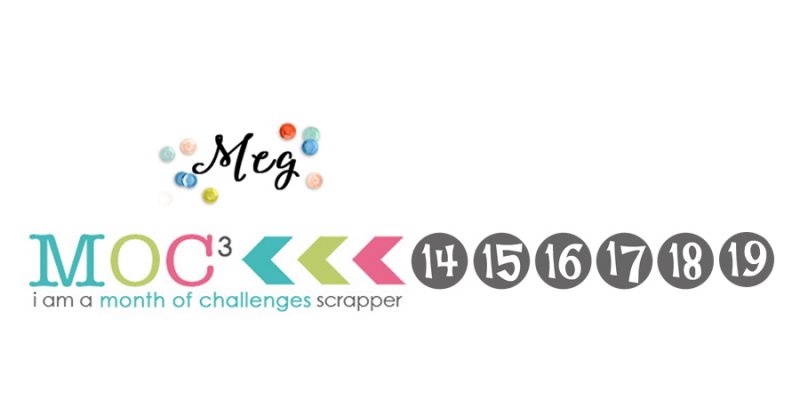 TLPsiggy_Updated2019