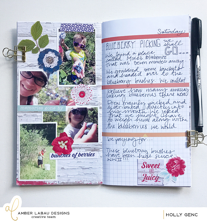 TN Blueberry Picking Layout
