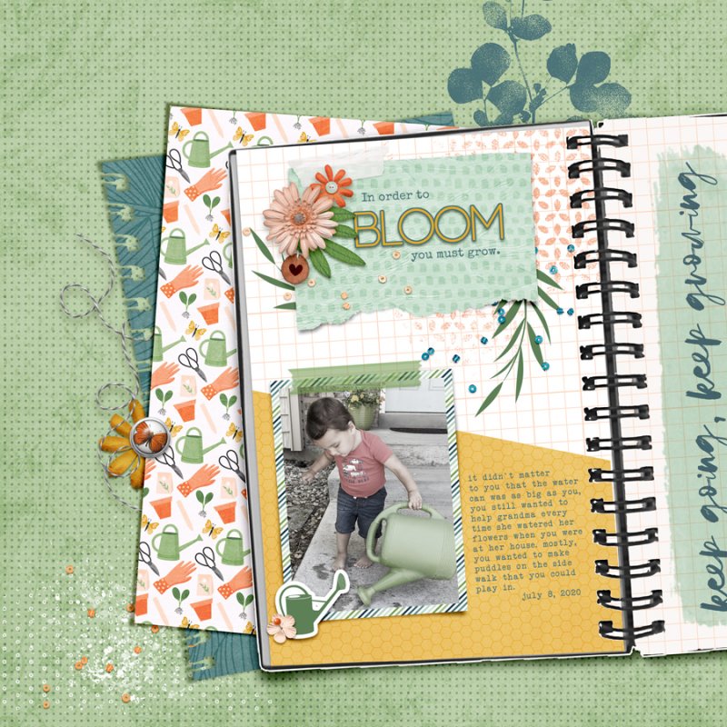 To-bloom