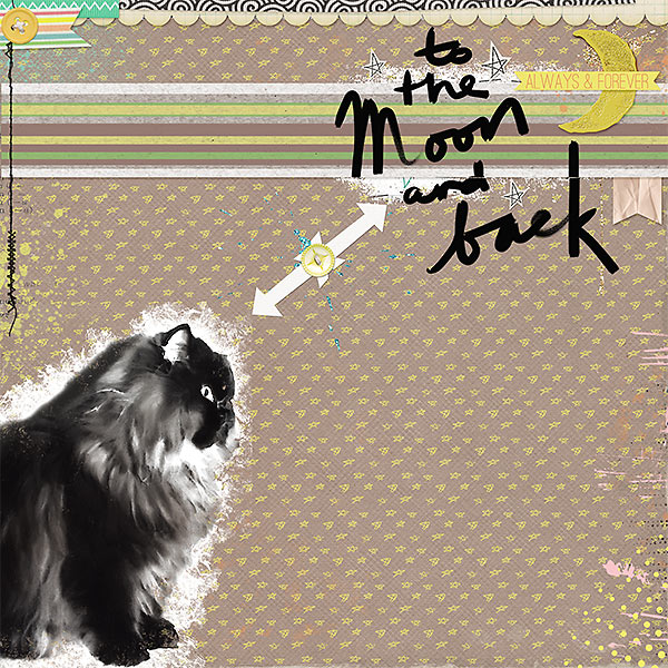 To the moon