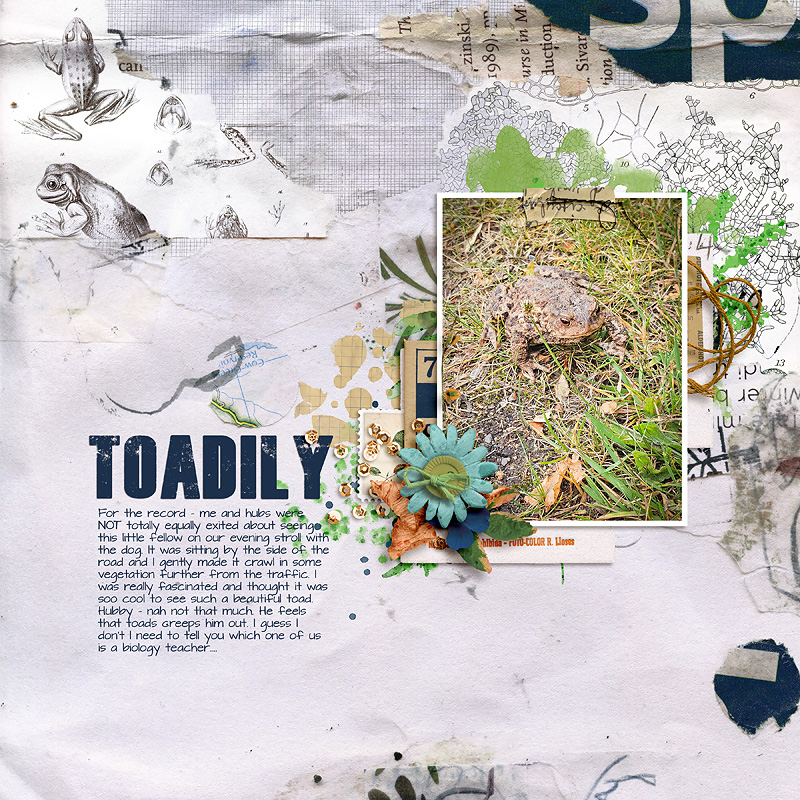 Toadily