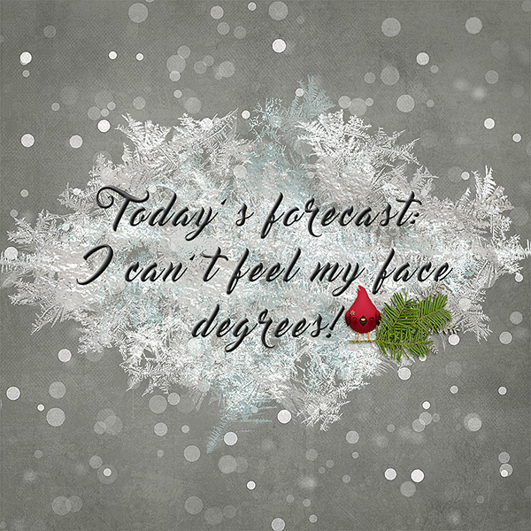 Today's Forecast