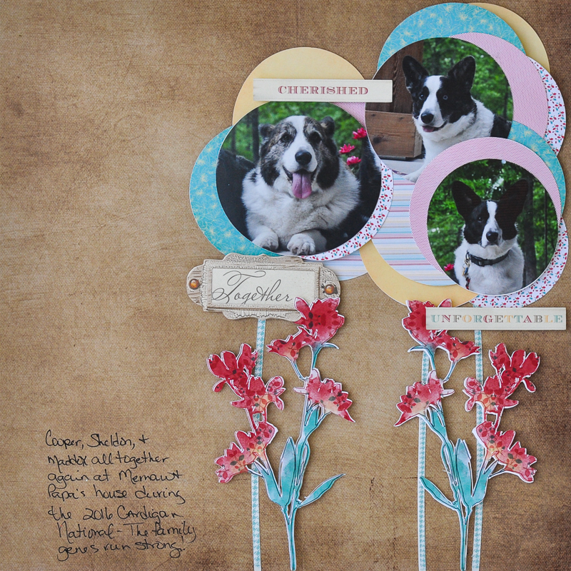 Together-Hybrid Layout