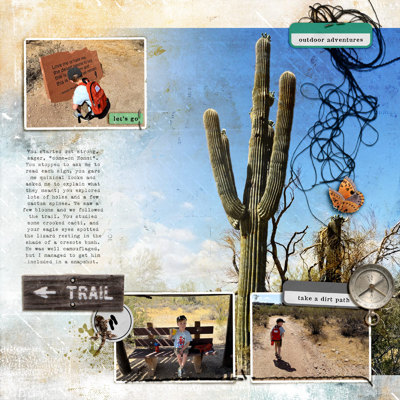 Tohono Chul (pg2)