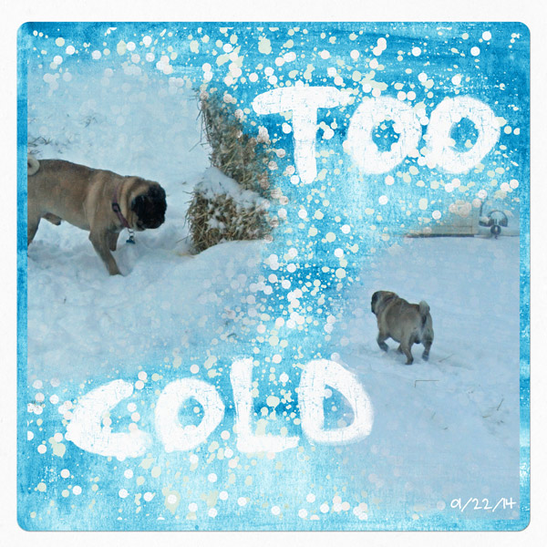 Too Cold