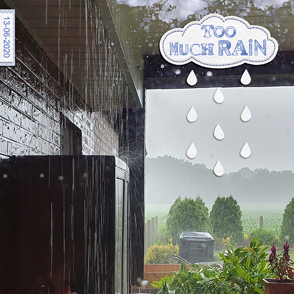Too Much Rain