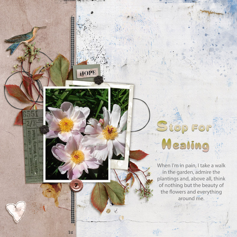 Top for Healing