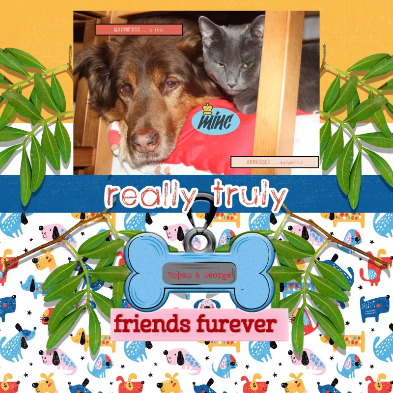 Topaz And George Best Buddies Forever Joy's Dog Tail Kit