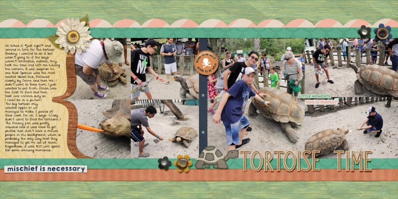 Tortoise Time
