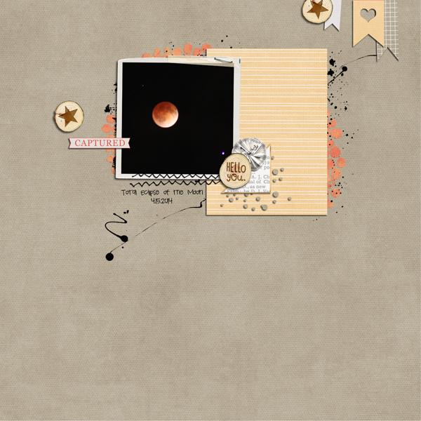 Total Eclipse of the Moon