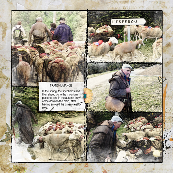 Transhumance