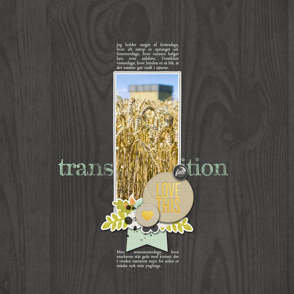 Transition