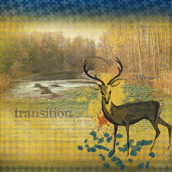transition.
