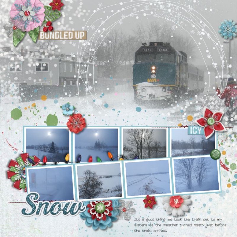Traveling in Snow