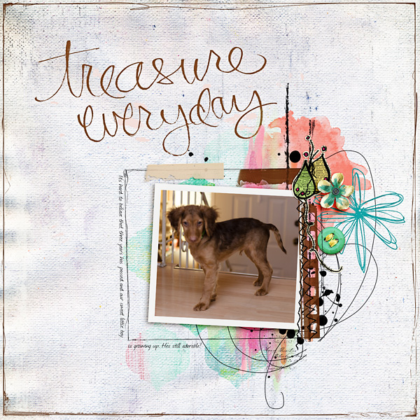 Treasure Everyday