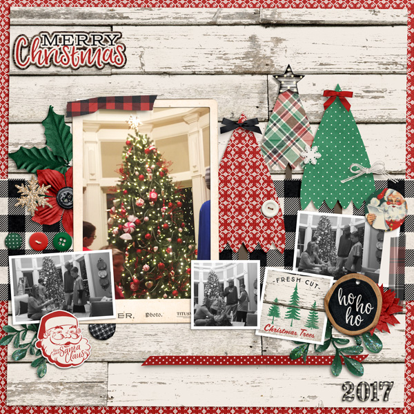 Tree 2107