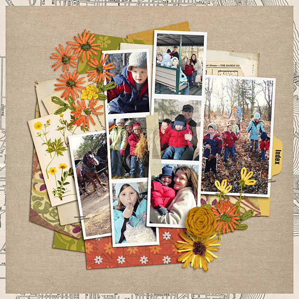 tree farm